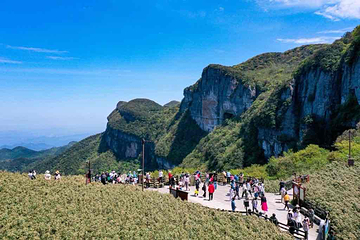 金佛山第 96 张图片