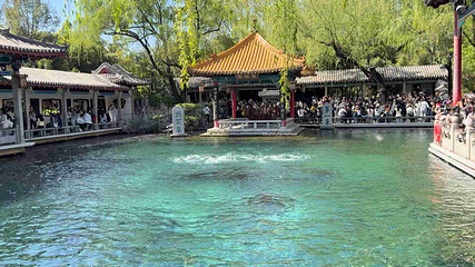 趵突泉景区第 142 张图片