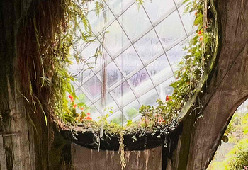 新加坡滨海湾花园第 248 张图片