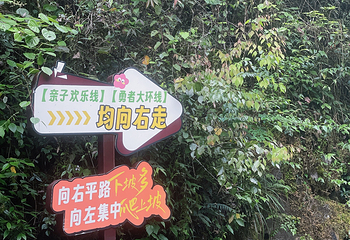 巴山大峡谷第 102 张图片