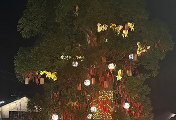 葛仙村度假区第 150 张图片