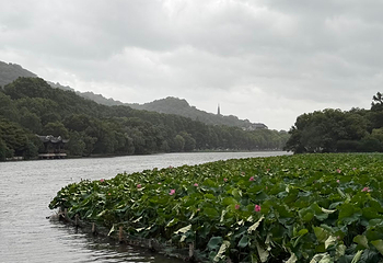 西湖风景名胜区第 539 张图片