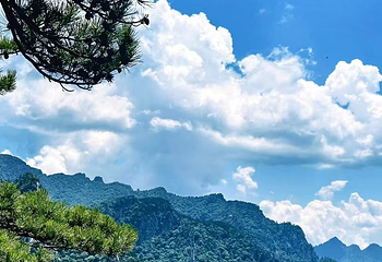 老界岭旅游度假区第 76 张图片