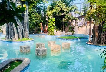 瑞阁温泉酒店温泉中心第 11 张图片