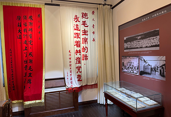 张园第 31 张图片