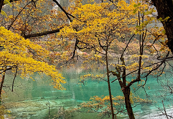 九寨沟风景区第 451 张图片