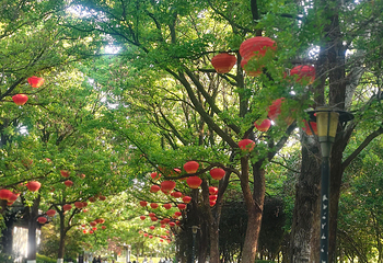 徐州云龙湖风景区第 35 张图片