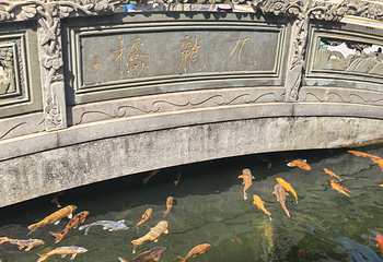 宝墨园第 253 张图片