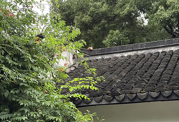 朱家角古镇景区第 233 张图片