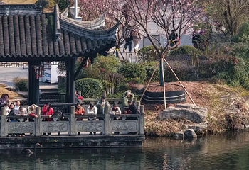 重庆园博园第 96 张图片
