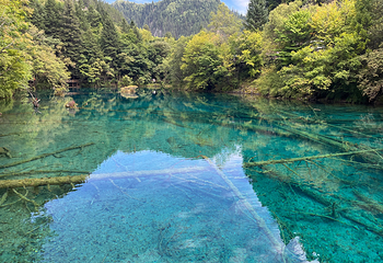 九寨沟风景区第 268 张图片