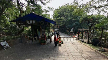 青青世界-热带雨林