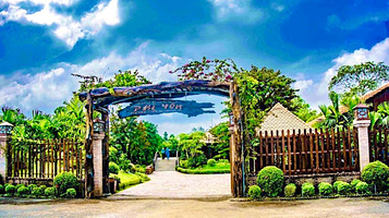 Du lịch sinh thái vườn trái cây Phi Yến