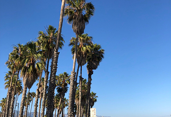Santa Barbara Waterfront第 3 张图片