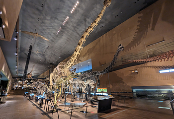 Kitakyushu Museum of Natural History & Human History第 4 张图片