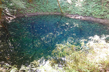 青池第 14 张图片