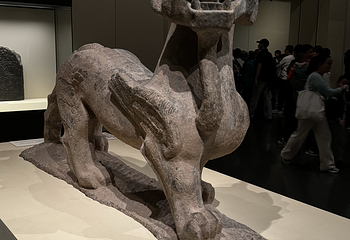 中国国家博物馆第 342 张图片