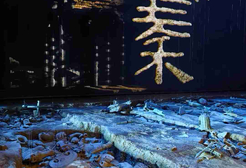 赳赳大秦第 100 张图片