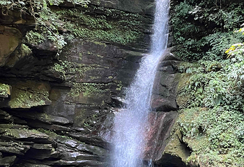 碧峰峡景区第 78 张图片