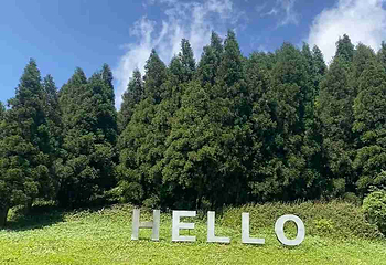 金佛山第 105 张图片