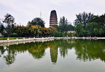 小雁塔遗址公园第 47 张图片