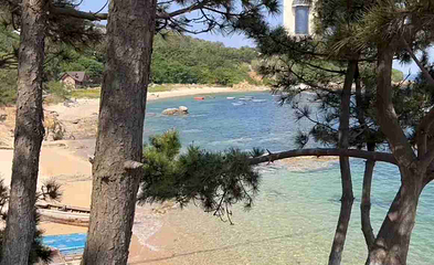 海源公园第 22 张图片