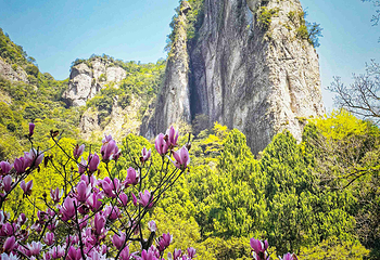 雁荡山第 21 张图片