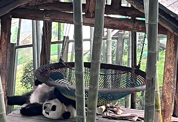 天目湖南山竹海第 171 张图片