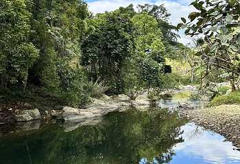 五指山水满河热带雨林风景区第 21 张图片