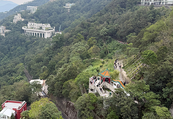 太平山顶第 273 张图片