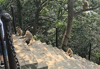 连云港花果山风景区第 41 张图片