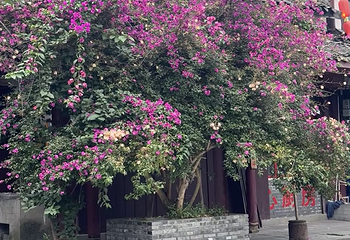 街子古镇第 71 张图片