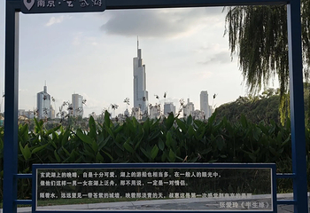 玄武湖景区第 165 张图片