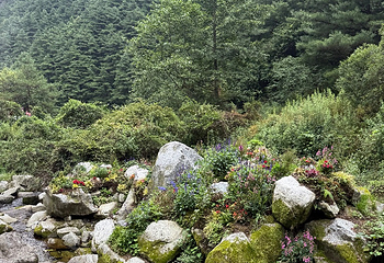 苍山第 177 张图片