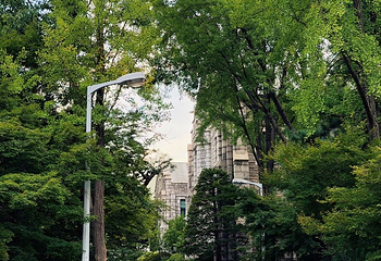 梨花女子大学第 81 张图片