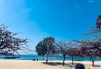浅水湾第 33 张图片