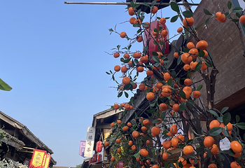 都江堰西街第 23 张图片