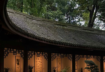 杜甫草堂第 263 张图片
