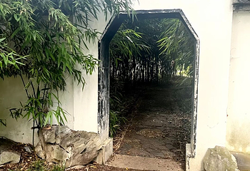 玄武湖景区第 179 张图片