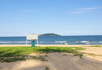 海棠广场第 43 张图片
