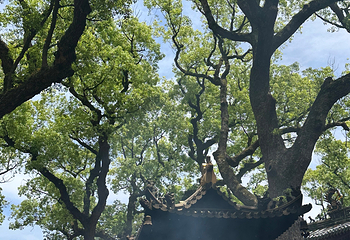 普陀山风景区第 298 张图片