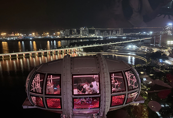 湾区之光摩天轮第 86 张图片