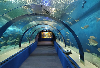 浅虫水族馆第 4 张图片