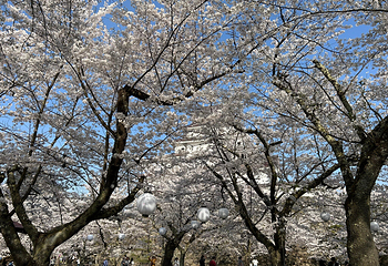 黑川城第 15 张图片
