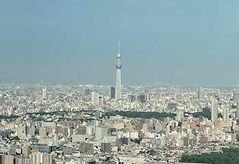 阳光大厦60层展望台第 20 张图片