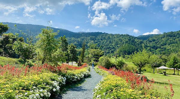 The Florest - Hoa Trong Rừng