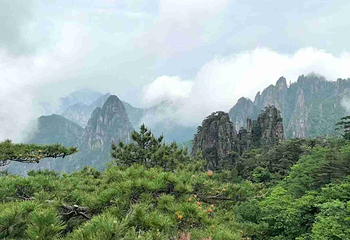 黄山风景区第 186 张图片