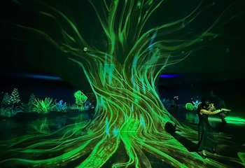 世博文化公园第 217 张图片