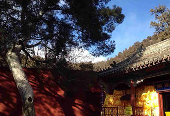 潭柘寺第 35 张图片