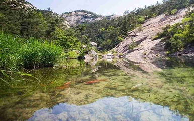 昆嵛山第 17 张图片